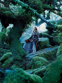 Whimsical Woodland Editorials Image 3