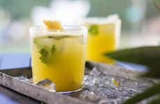 Tropical Summer Cocktails