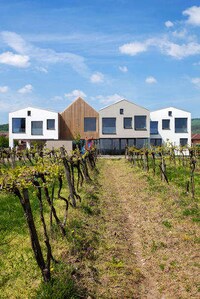 Winery Kindergarten Spaces Image 4