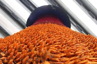Colorful Clothespin Sculptures Image 5