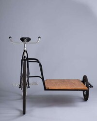 Sophisticated Sidecar Bicycles Image 5