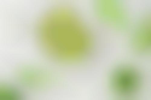 Matcha Mint Skin Care
