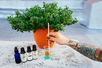 Homemade Nausea Sprays Image 3