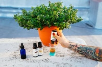 Homemade Nausea Sprays Image 4
