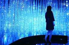 Immersive Light Installations