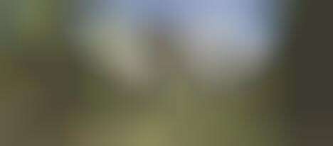 Sustainable Architecture Concepts