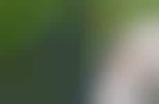 Emergency Alert Apps