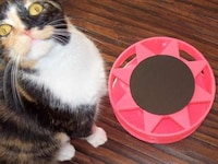 Solar-Powered Cat Toys Image 6