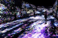 Digital Butterfly Exhibits