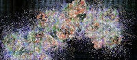 Digital Butterfly Exhibits Image 2