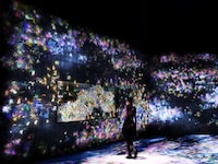 Digital Butterfly Exhibits Image 4