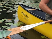 Hand-Painted Canoes Image 7