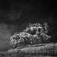 Desolate Infrared Photography Image 2