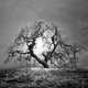 Desolate Infrared Photography Image 3