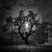 Desolate Infrared Photography Image 4