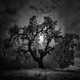 Desolate Infrared Photography Image 4