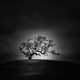 Desolate Infrared Photography Image 5