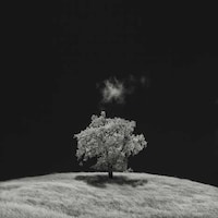 Desolate Infrared Photography Image 6