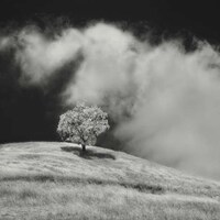Desolate Infrared Photography Image 7