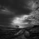 Desolate Infrared Photography Image 8