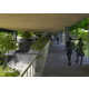 Arboreal University Architecture Image 4
