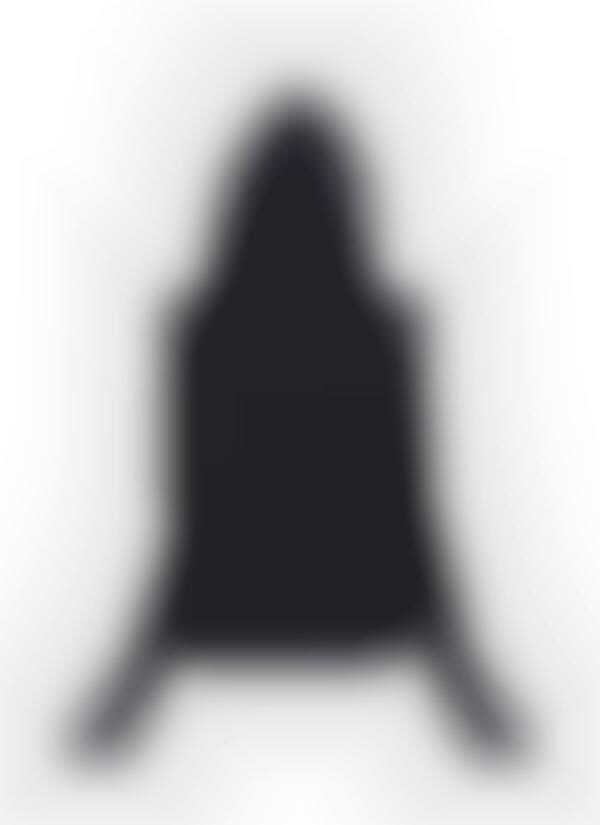 backpack with a hood