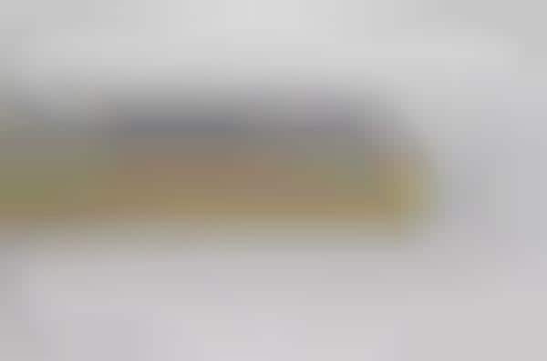 Fingerprint-Scanning Smartphones