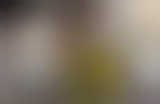 Weatherproof Two-Seater Cars