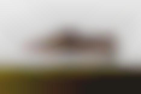 Haute Hairy Sneakers