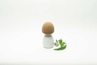 Mushroom-Mimicking Kitchen Containers Image 2