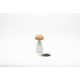 Mushroom-Mimicking Kitchen Containers Image 3