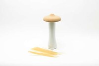 Mushroom-Mimicking Kitchen Containers Image 4