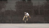 Colonial Skateboard Decks Image 2