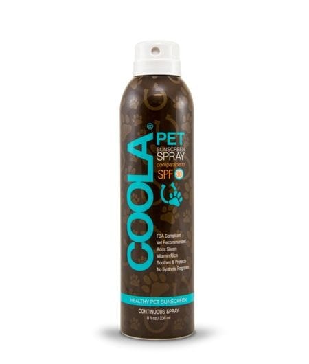 20 Pampering Pet Products