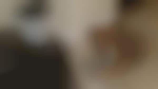 Dog Selfie Cameras