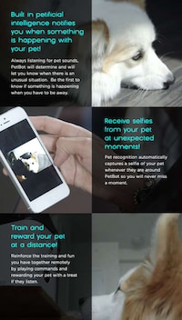 Dog Selfie Cameras Image 4