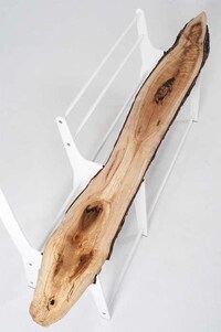 Minimalist Tree Trunk Benches Image 3