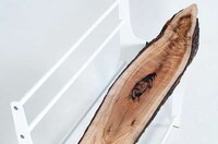 Minimalist Tree Trunk Benches Image 5