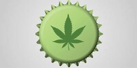 Homemade Cannabis Wines Image 4