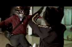 Humans as Ninja Kittens