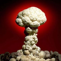 Playing With Food For Art Image 6