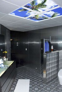 Virtual Skylights Image 3