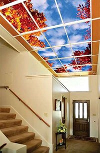Virtual Skylights Image 7