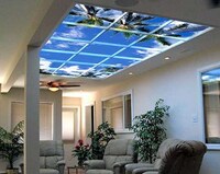 Virtual Skylights Image 8