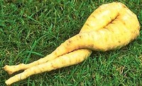 Promoting Deformed Produce Image 4