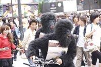Guerrilla Album Campaigns Image 3