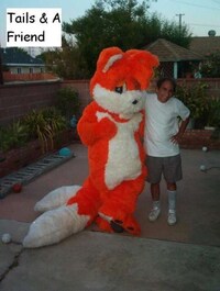 Fox Obsessions Image 4