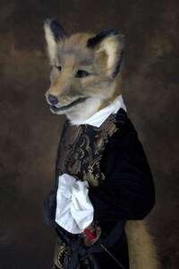 Fox Obsessions Image 7