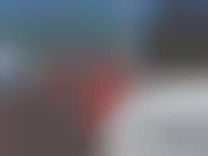 Rock Star Human Rights Campaigns