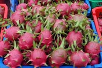 Monstrous Edibles Image 8
